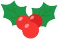 Christmas holly berries icon. Season decoration, winter plant fruits. Holiday illustration.